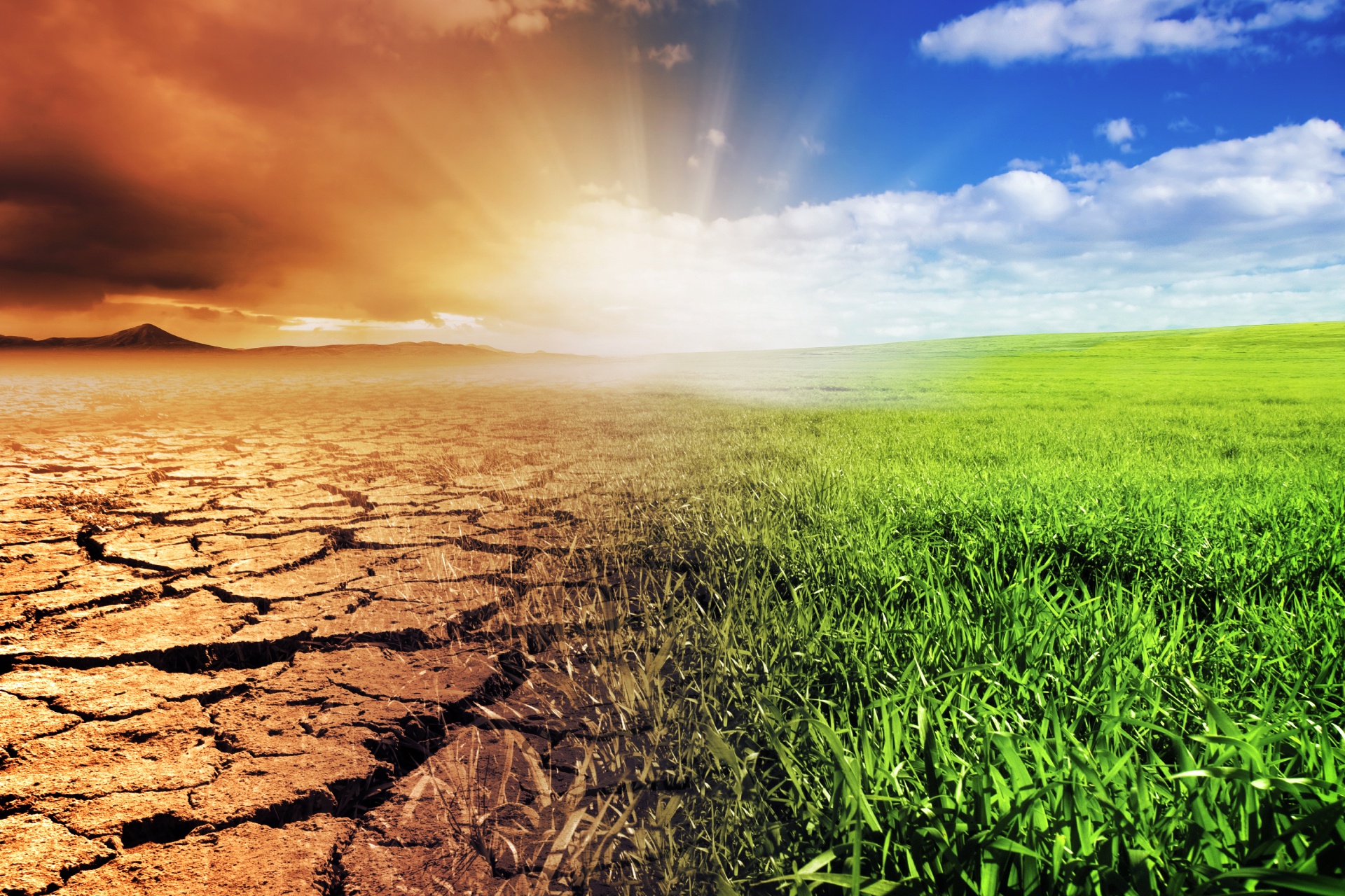 Фото 10 — Экологические проблемы и решения